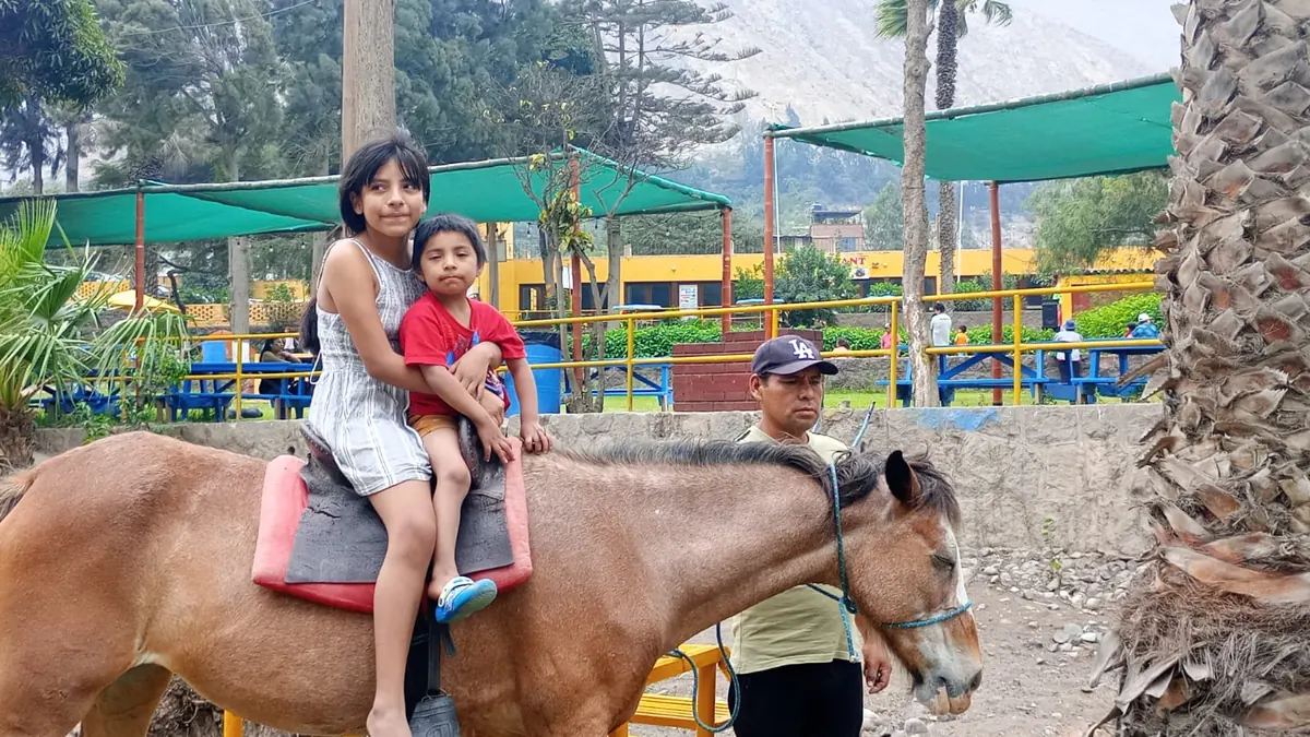 Paseo a caballo en el club